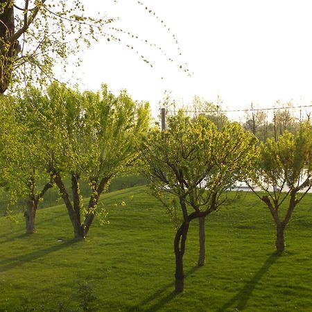 Agriturismo Feliciana Pozzolengo Ngoại thất bức ảnh