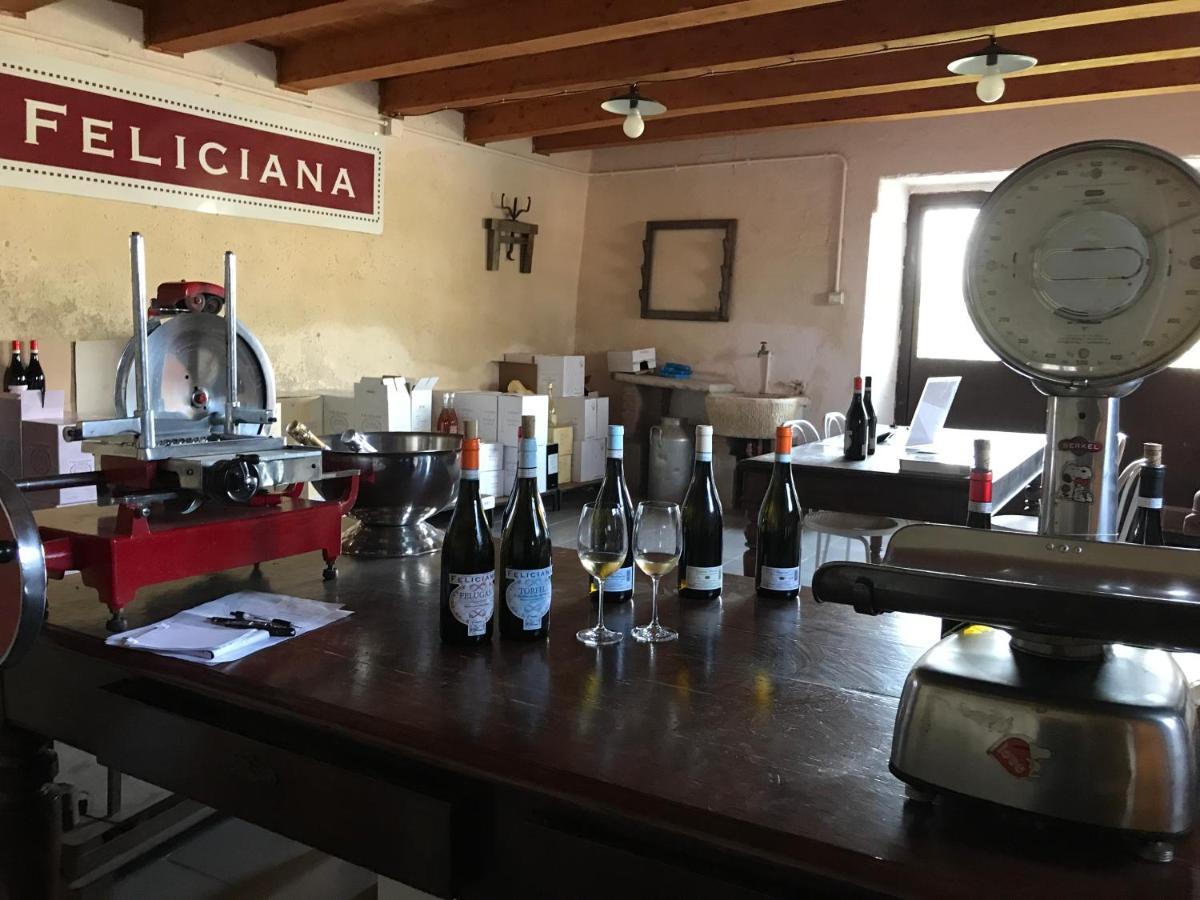 Agriturismo Feliciana Pozzolengo Ngoại thất bức ảnh