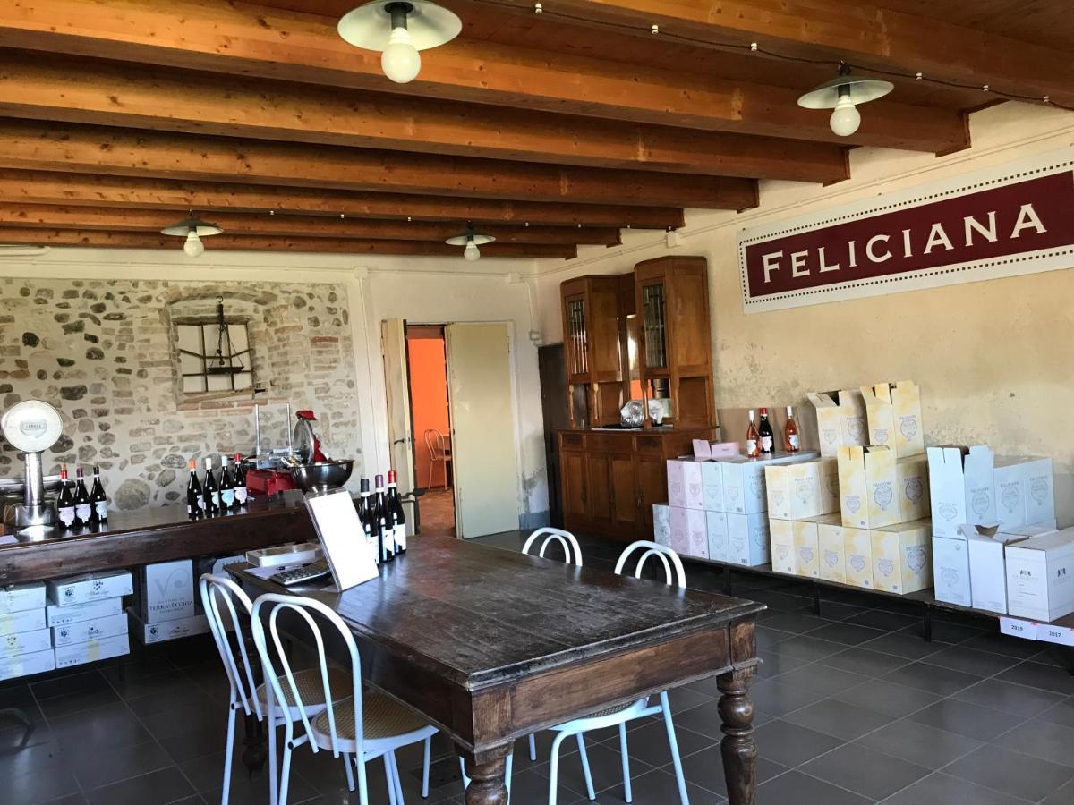 Agriturismo Feliciana Pozzolengo Ngoại thất bức ảnh