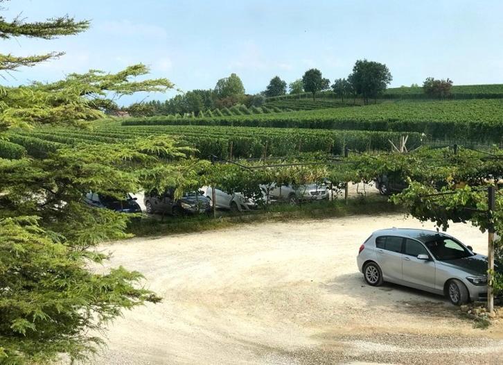 Agriturismo Feliciana Pozzolengo Ngoại thất bức ảnh