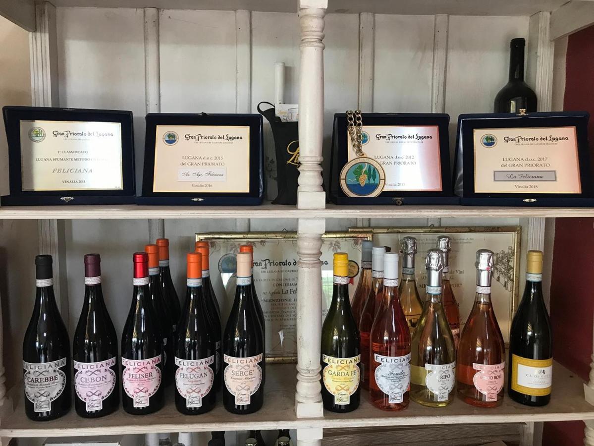 Agriturismo Feliciana Pozzolengo Ngoại thất bức ảnh