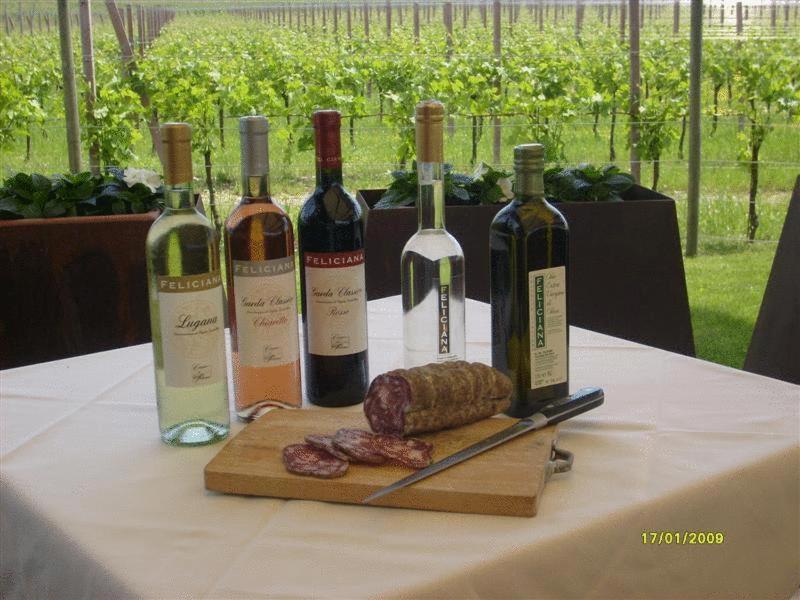 Agriturismo Feliciana Pozzolengo Ngoại thất bức ảnh