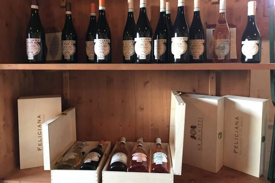 Agriturismo Feliciana Pozzolengo Ngoại thất bức ảnh