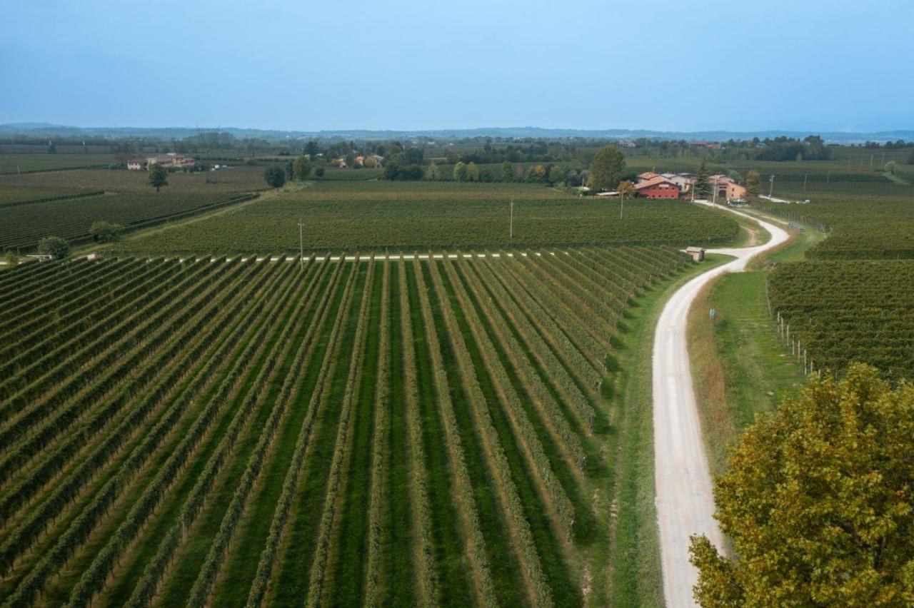 Agriturismo Feliciana Pozzolengo Ngoại thất bức ảnh