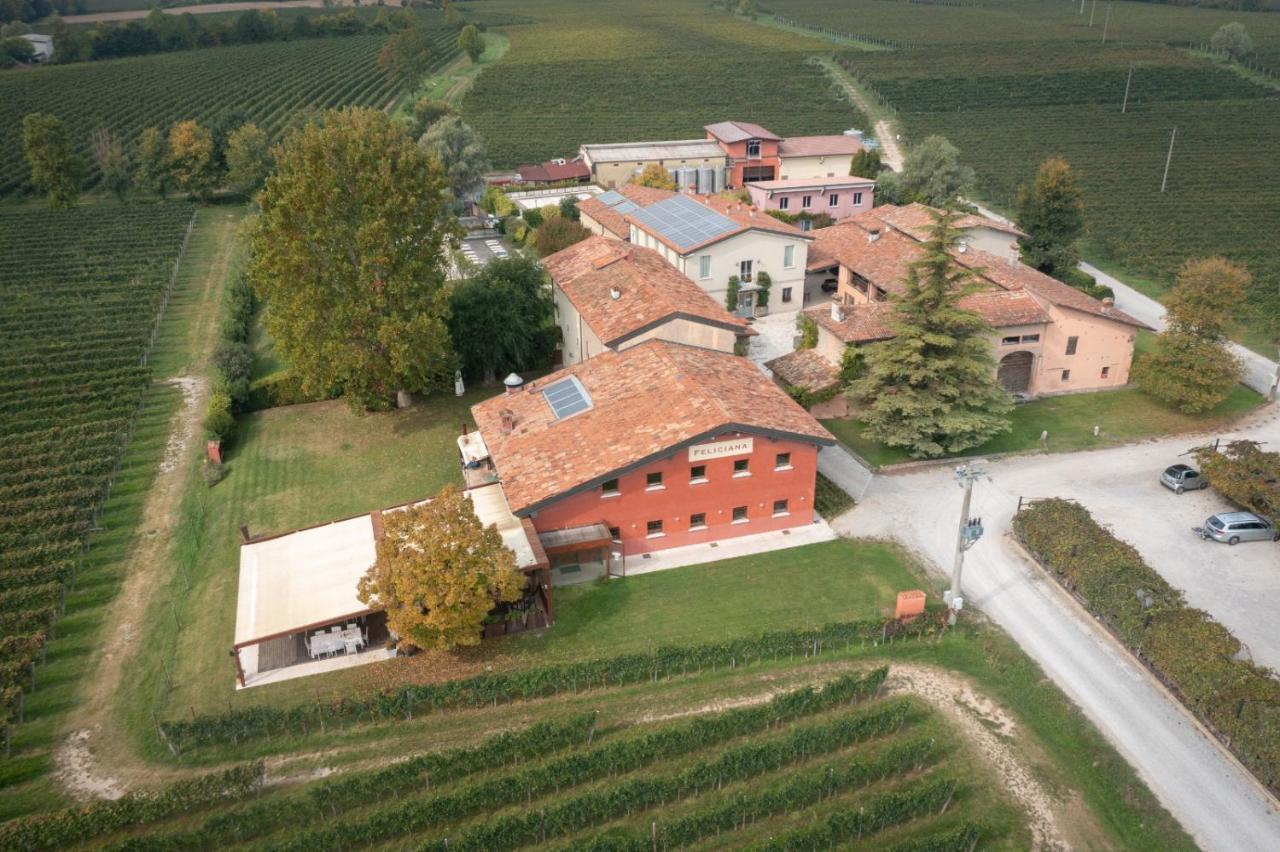 Agriturismo Feliciana Pozzolengo Ngoại thất bức ảnh