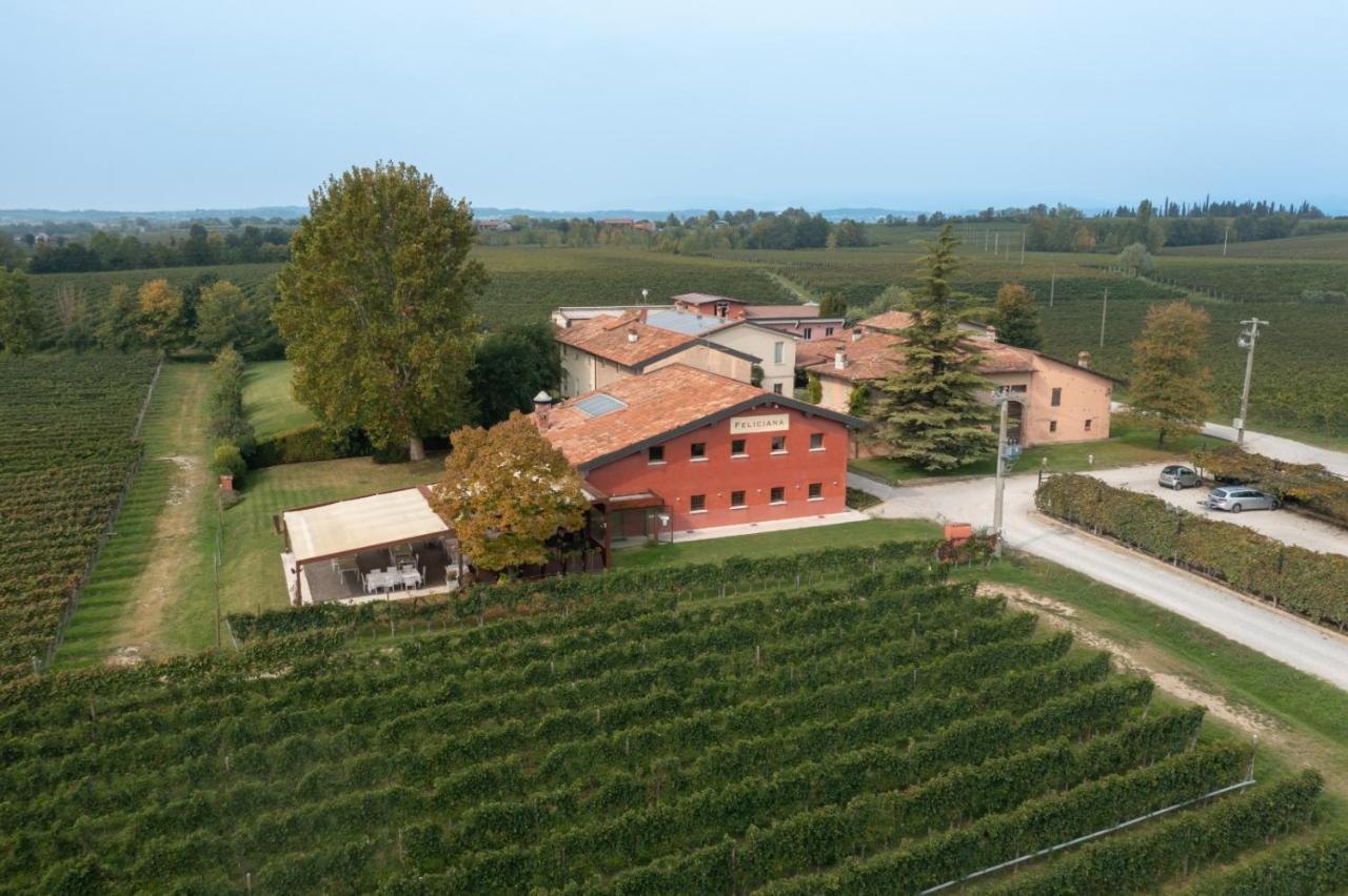 Agriturismo Feliciana Pozzolengo Ngoại thất bức ảnh