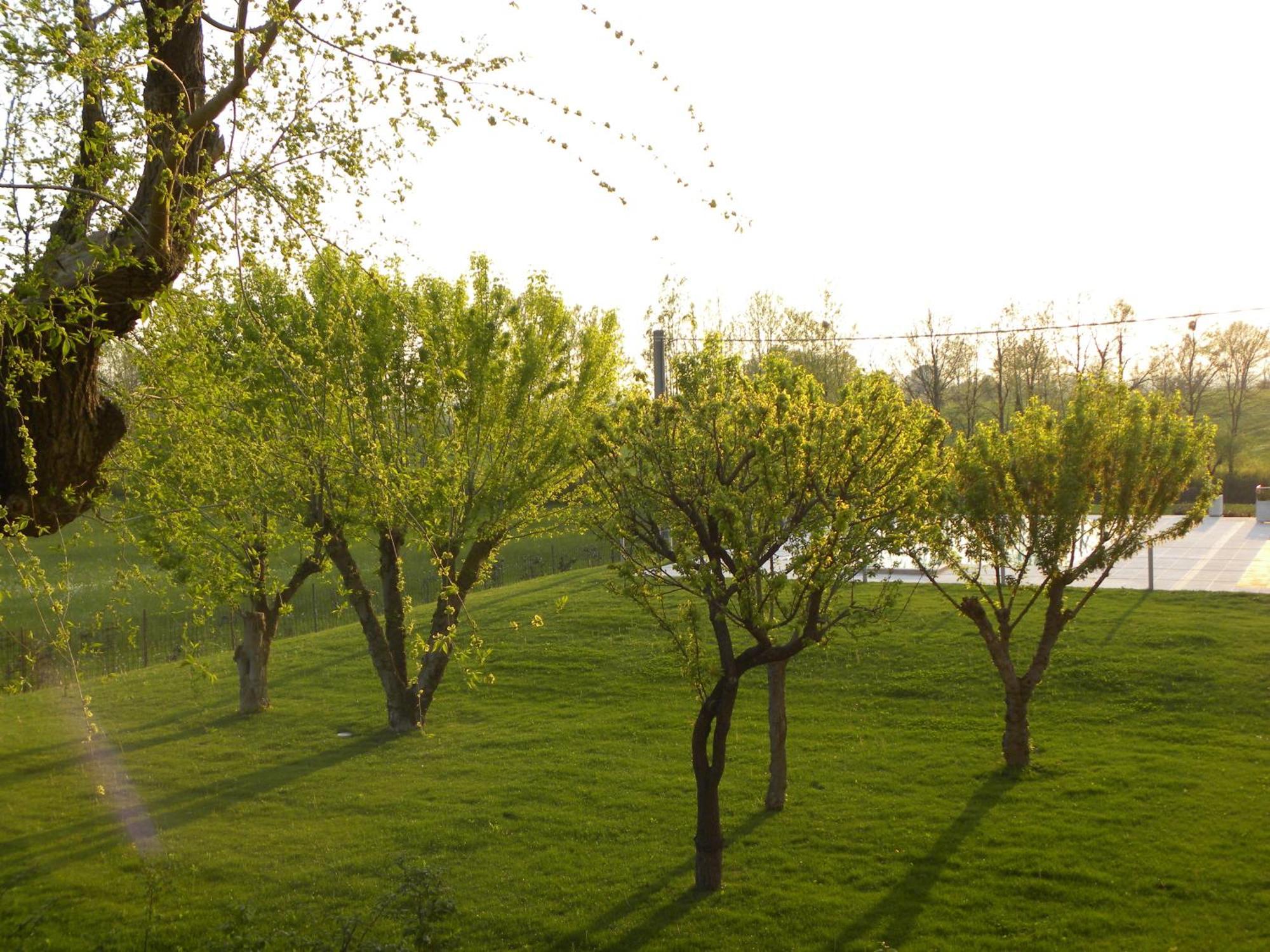 Agriturismo Feliciana Pozzolengo Ngoại thất bức ảnh